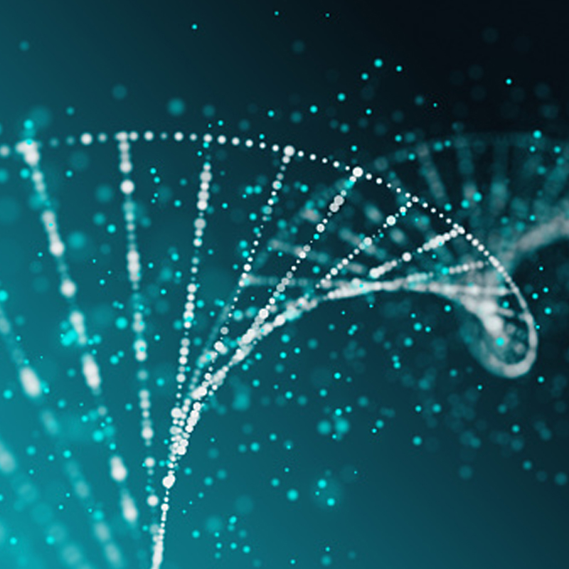 WONDROS-LANDING-PAGE-IMAGE-1 WONDROS-LANDING-PAGE-IMAGE-1